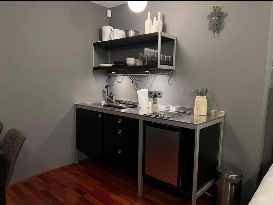 Studio Apartment With Ocean View Reykjavík Zewnętrze zdjęcie
