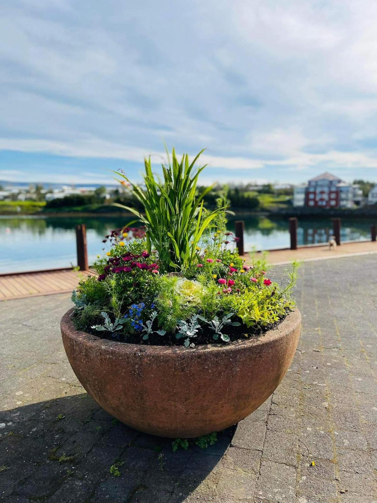 Studio Apartment With Ocean View Reykjavík Zewnętrze zdjęcie